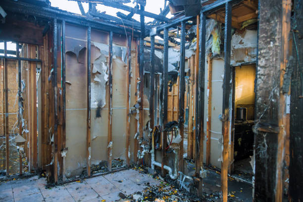 Professional Fire Damage Removal technician working in Nokomis, FL