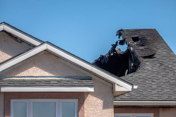 Top rated local Fire Damage Removal specialists in Nokomis, FL